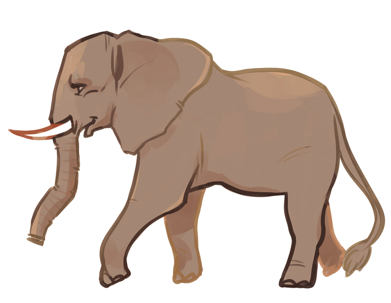 elephant