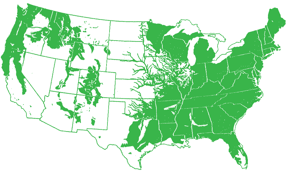 Remaining old growth forests in the United States in 1620