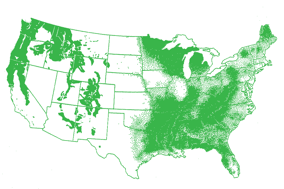 Remaining old growth forests in the United States in 1850