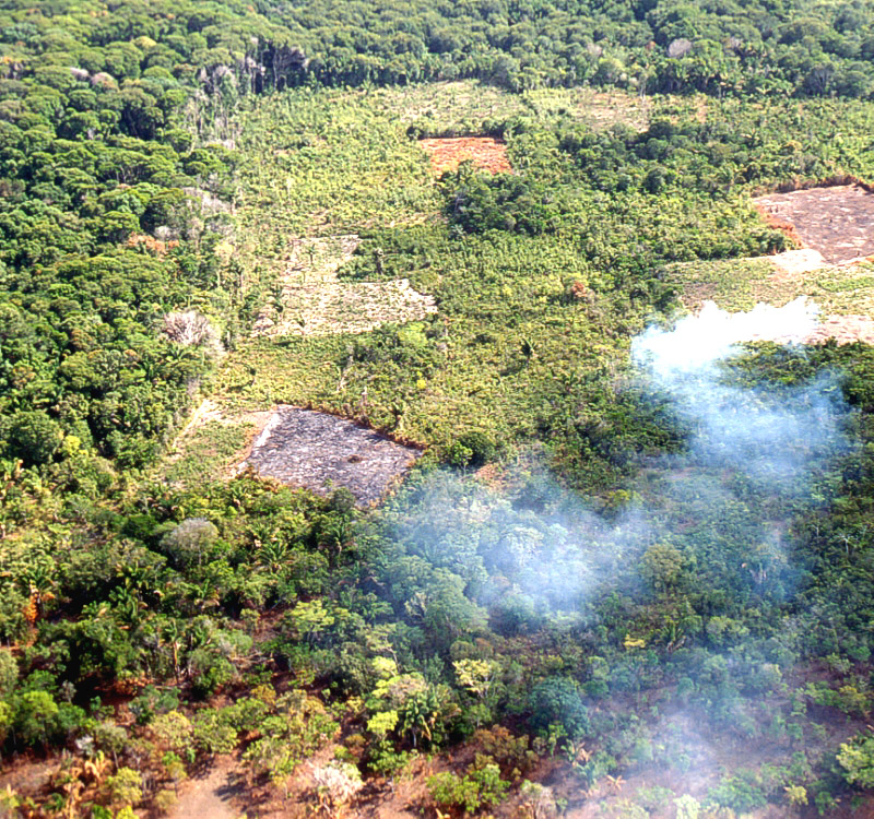 active burning and recent burning in the Amazon estuary