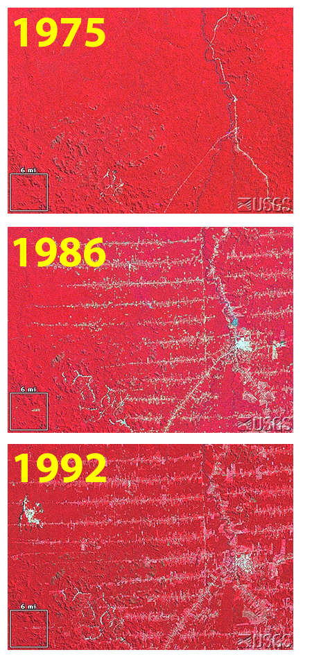 Three satellite views of rainforest in Rondonia Brazil