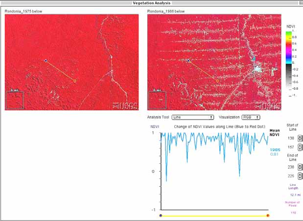 Graph—analysis of Rondonia satellite image