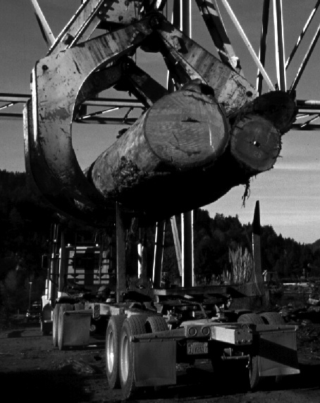 large crane unloading logs