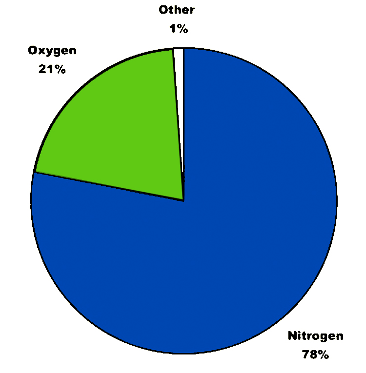 Pie Graph of Composition of gases in the atmosphere