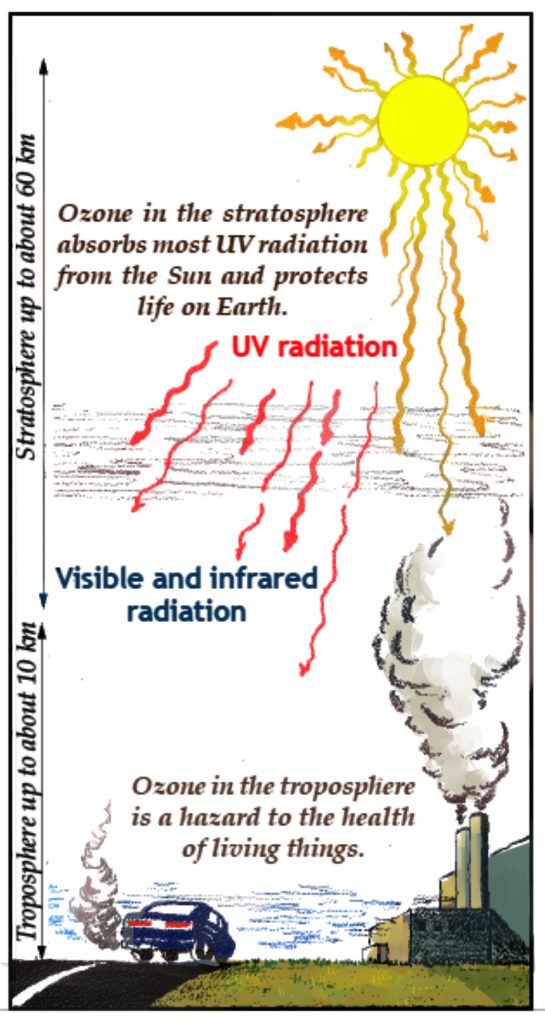 diagram showing stratospheric ozone and tropospheric ozone