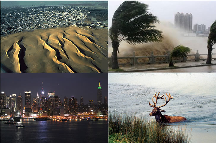 4 manifestations of climate change: ecosystem change, hurricanes, sea level rise, desertification