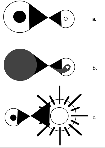 diagram for mechanism of a supernova