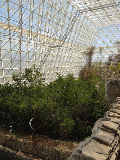 inside on e of the biosphere 2 buildings