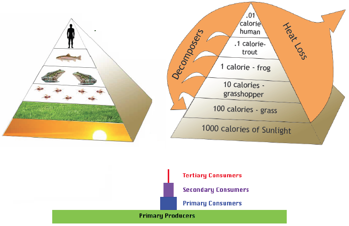 Energy Pyramids