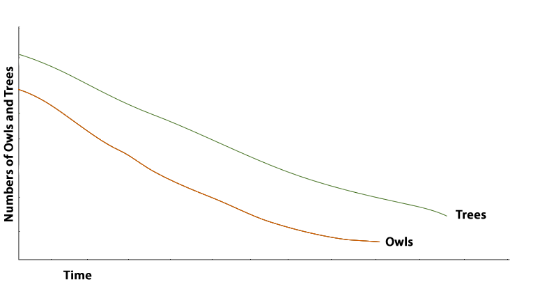 Graph showing positive feedback of owls and trees