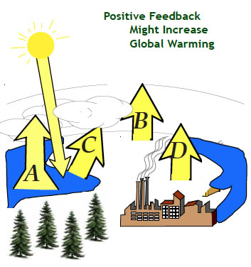 diagram - Positive feed back on a global scale might increase global warming