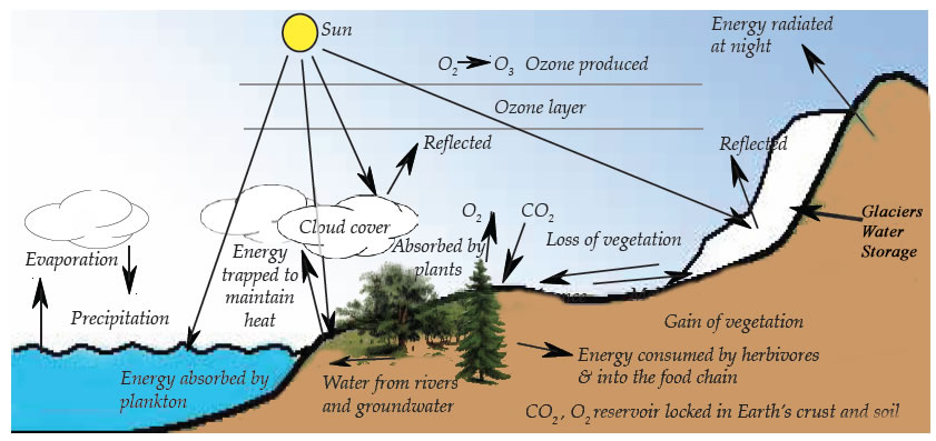 Diagram of The Gaia Model 