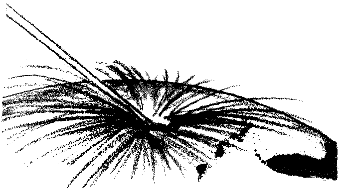 drawing of  asteroid impact