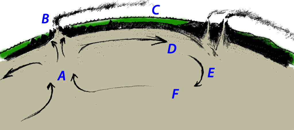 Cutaway view of Earth's crust showing convection in the mantle