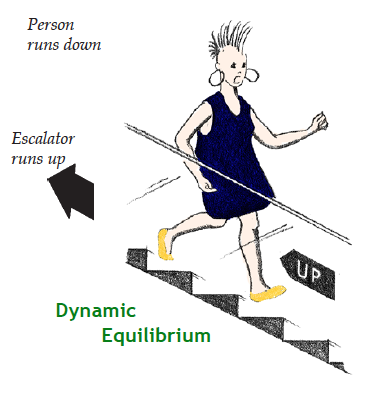 Woman walking down stairs in dynamic equilibrium