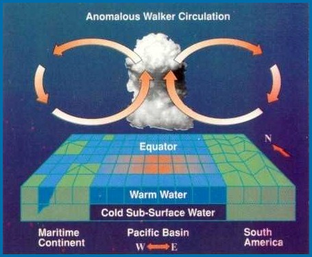 Diagram of El Niño Circulation