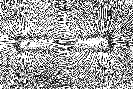 Magnetic field of a bar magnet evident in iron filings