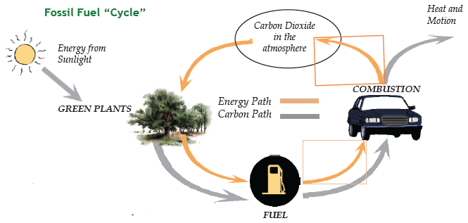 diagram of the fossil  fuel cycle