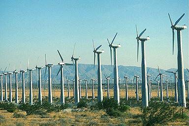 A wind farm