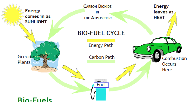 Diagram of Biofuel cycle