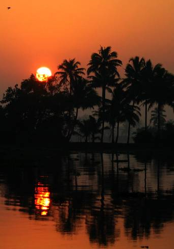 Sunset on a Pacific island