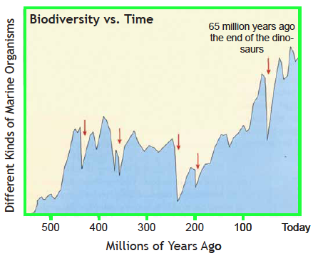 Graph of biodiversity versus time over millions of years