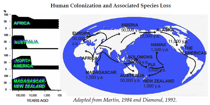 Map showing human colonization related to loss of species