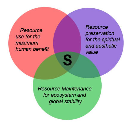 venn diagram