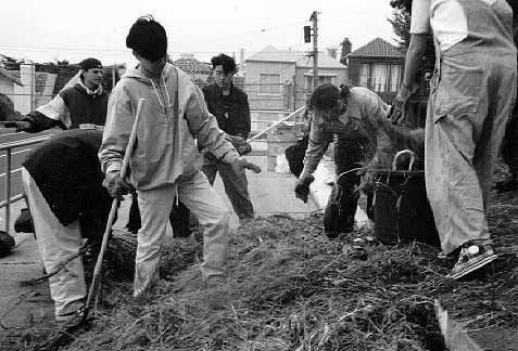 students gardening