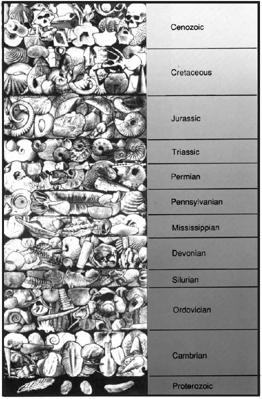 index fossils in geologic time scale