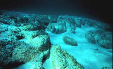 Stomatolites in shallow water. 