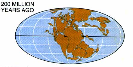 map shaped to show Earth's entire surface