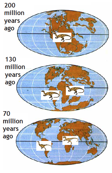 drawing illustrates the idea that the division of the supercontinent Pangaea, about 200 million years ago, contributed to the process of evolution.