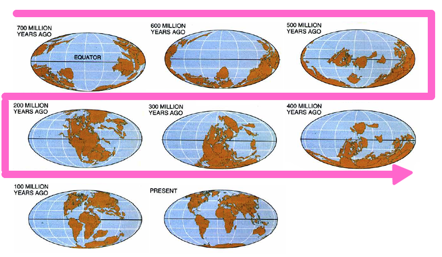Diagram of the results of continental drift over the past 700 million years. Each map is shaped to show the Earth's entire surface. 