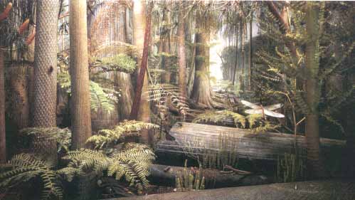 Carboniferous forest.