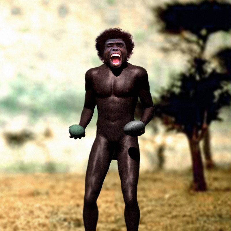 Illustration of Homo erectus