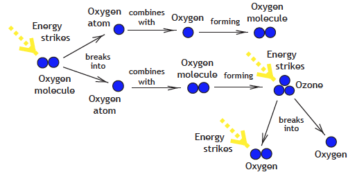 Diagram of production and destruction of ozone