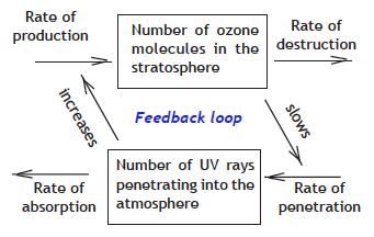 Diagram of feedback loop