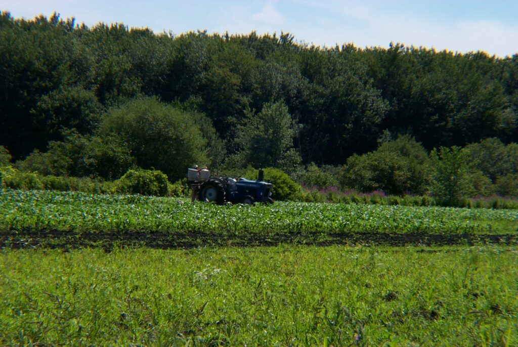 Tracto on a farm