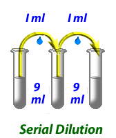 serial dilution...3 test tubes with successive 1to nine dilutions