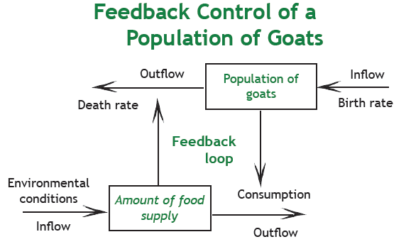 Goat feedback diagram