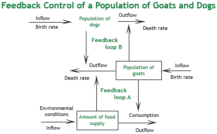 Feedback diagram for goat-dog system