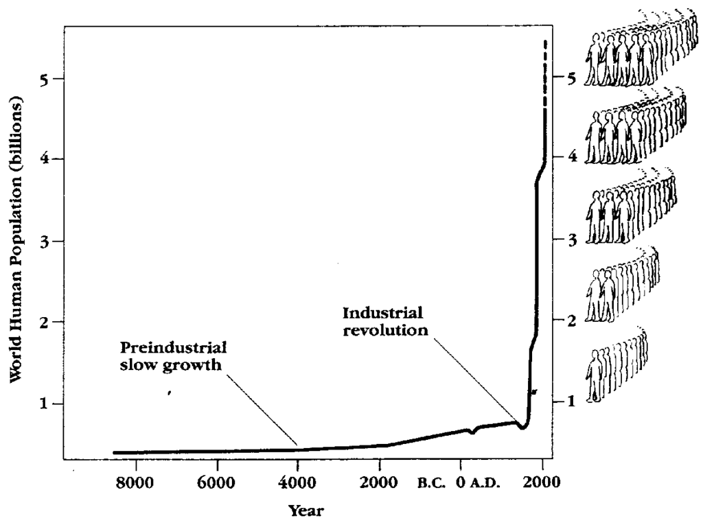 Graph of world human population