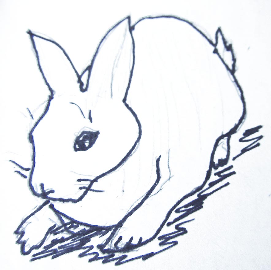 Rabbit drawing