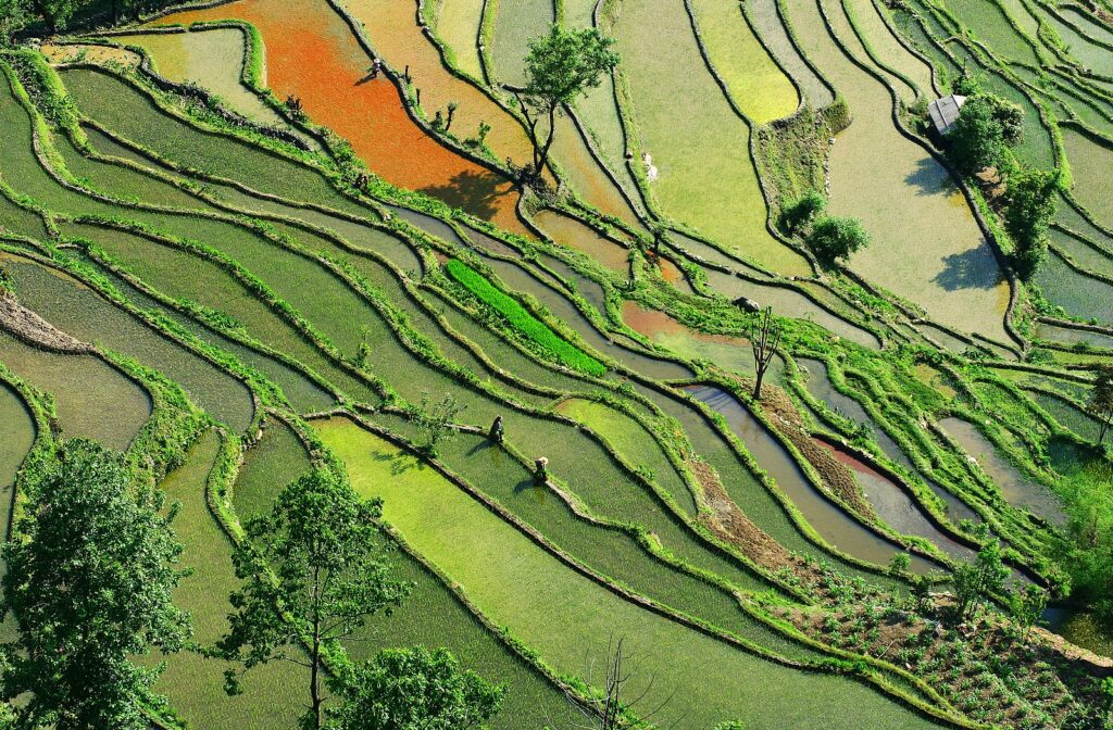 Subsistence farming -- faerial view of fields in southern China
