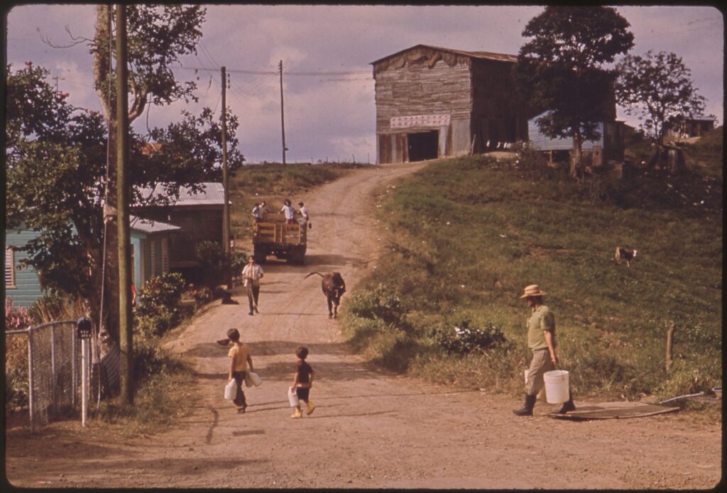 Mountain farm