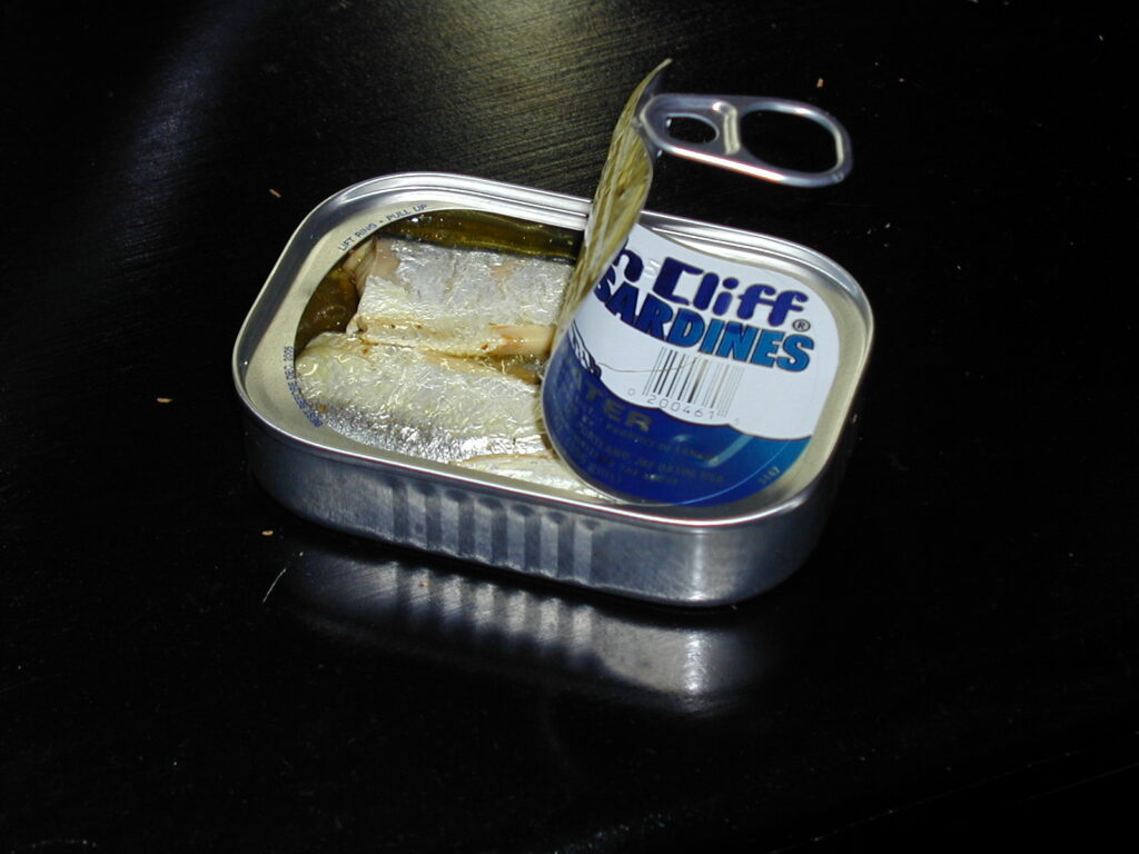 Sardine can partly open showing sardines