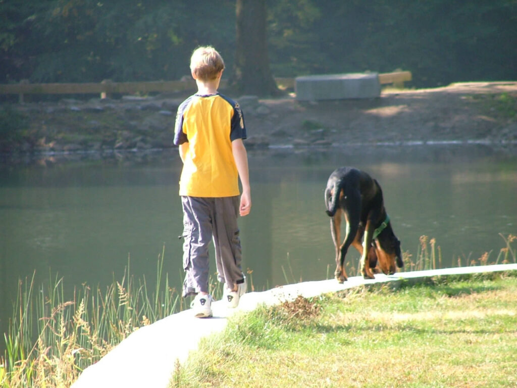 Man and dog