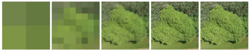 Photo of the same scene of plants at different resolutions