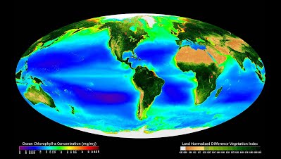 global seawifs satellite data map